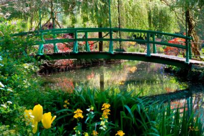 Giverny tour