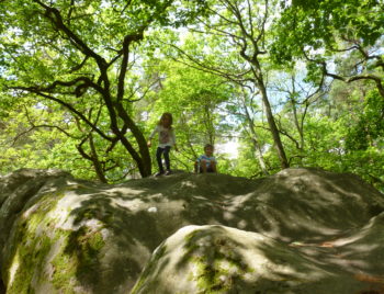 Fontainebleau Transfer prices - Paris Connection vehicles serve: Arbonne la F ret, Avon, Ach re la Foret, Barbizon, Bois le Roi, Bourron Marlotte, Moret sur Loing Fontainebleau Transfer prices - Paris Connection vehicles serve: Arbonne la F ret, Avon, Ach re la Foret, Barbizon, Bois le Roi, Bourron Marlotte, Moret sur Loing
